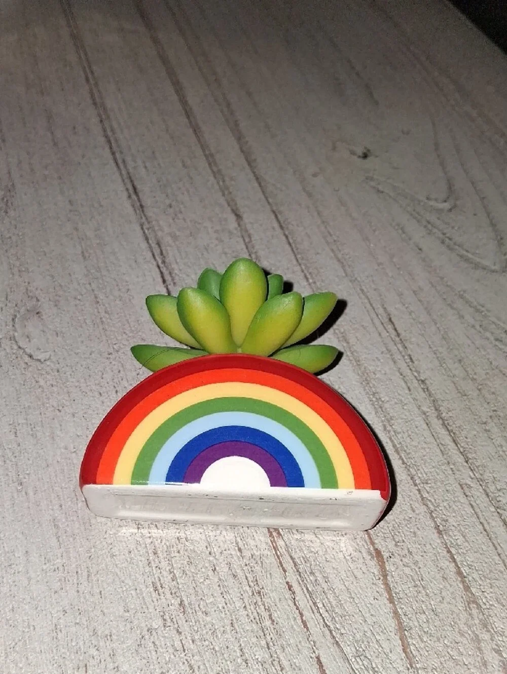 Ceramic Rainbow Succulent Planter - Faux Plant